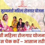 Mukhyamantri mahila rojgar yojana bihar status check